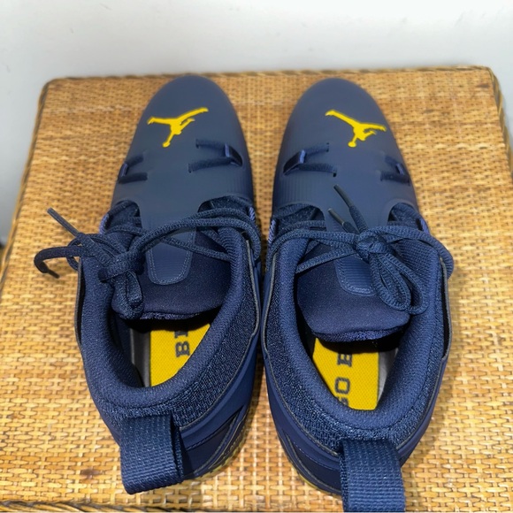Nike Jordan Alpha Menace Pro 3 Promo Michigan Wolverines DH3368 403 Size 12 - Picture 8 of 14
